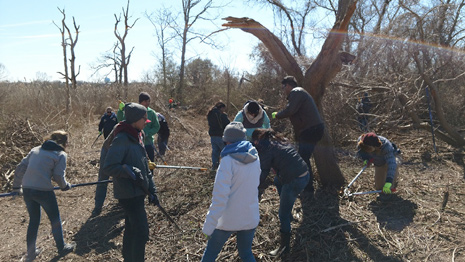 Garrett Family Preserve Cape May Kiwanis Project Circle K Volunteers 3