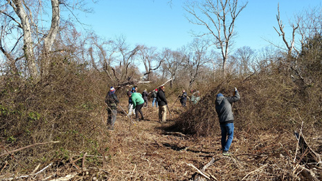 Garrett Family Preserve Cape May Kiwanis Project Circle K Volunteers 4