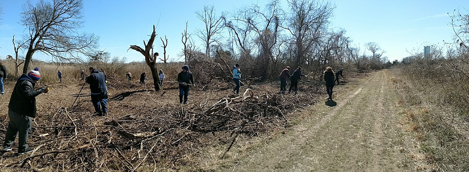 Garrett Family Preserve Cape May Kiwanis Project Circle K Volunteers 5